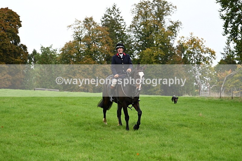 WJ7_4374 - Camera 1 Line 3