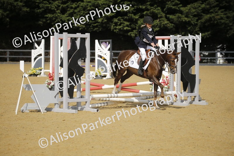 20250622-1557 - 40cm