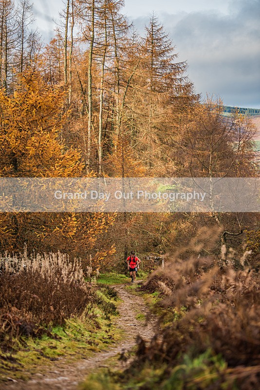 TVU 50  60K-533 - High Terrain Events Tweed Valley 50 & 65K Ultra Trail Races Sunday 19th November 2023