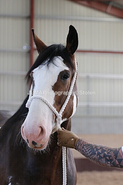 SIAL0233 - Indoor Classes