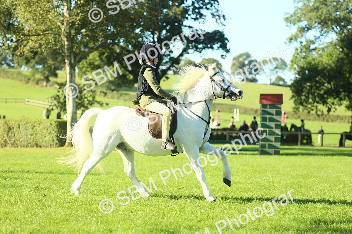 SBM_36379 - S29 - Novice & Newcomers Working Hunter Pony