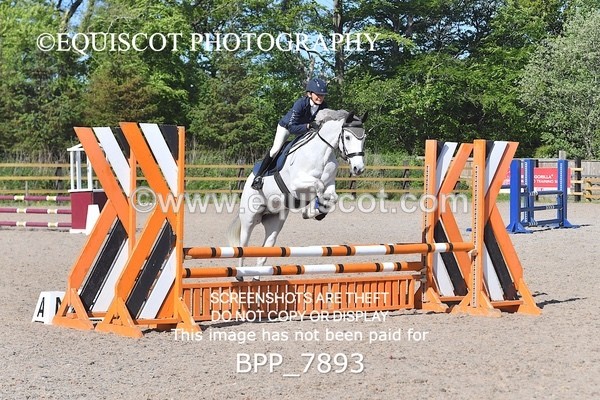 BPP_7893 - CLASS 1 - CLEAR ROUNDS