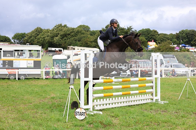 3E7A7357 - Class 5: Senior British Novice/90cm open