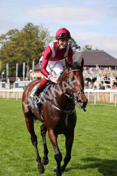 yr18082021r4-104 - Race 4 3.35pm Juddmonte International Stakes (British Champion Series race)