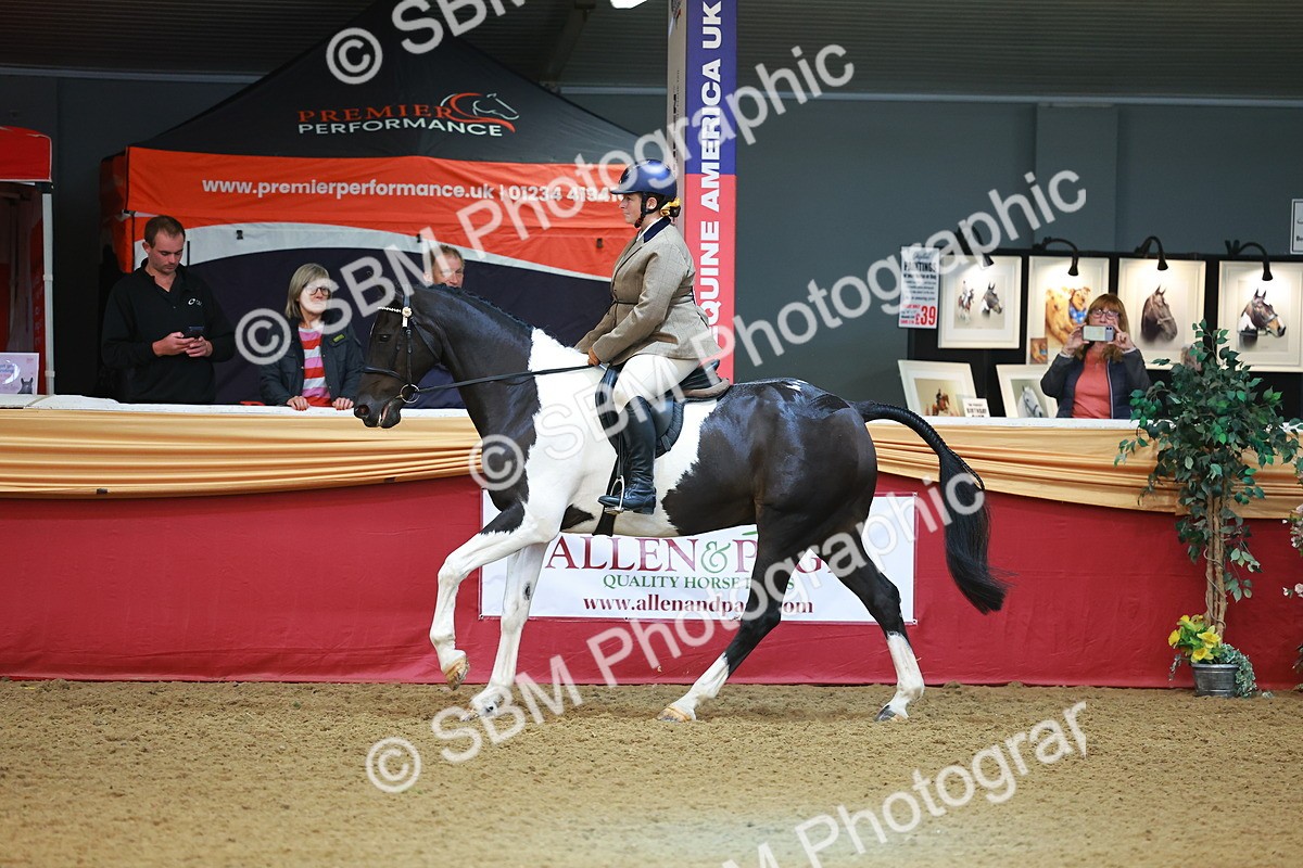 SBM_09760 - Class 102 - HOYS Veteran Qualifier - Ridden Veteran