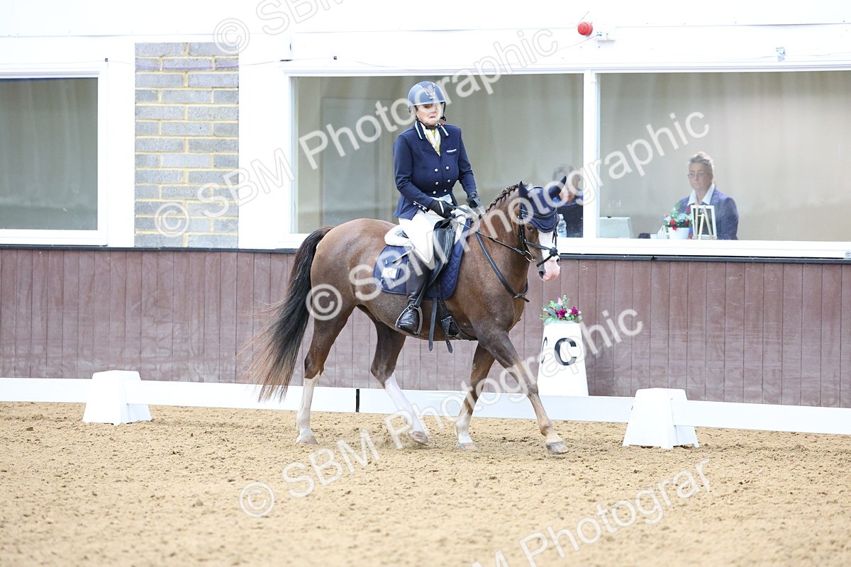 SBM_015743 - Class 15 - Novice FSM - 9.50 - 11.10