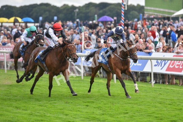 yr19082021r6-21 - Race 6 4.45pm British EBF & Sir Henry Cecil Galtres Stakes