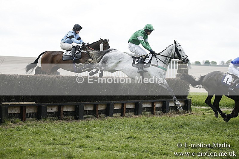 PtP 170417 78 - Old Berks Point-to-Point Lockinge 17/04/17