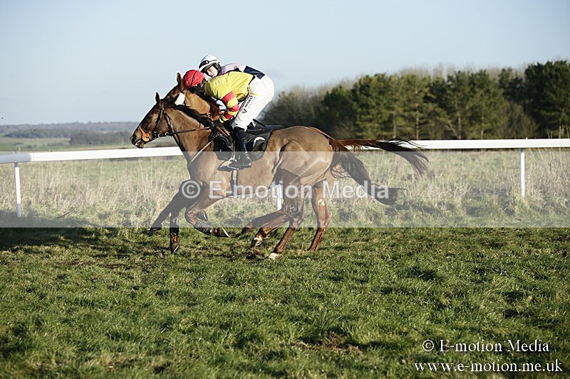 PtP 070118 -542 - Larkhill Racing Club Point to Point Larkhill 07/01/2018