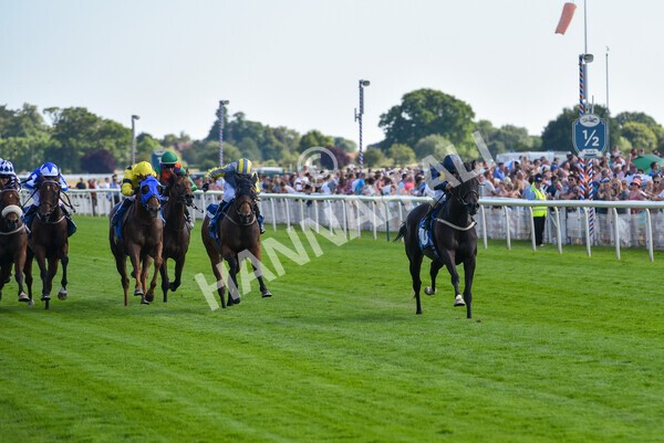 yr09072022r6-18 - Race 6 4.40pm John Smith's City Walls Stakes