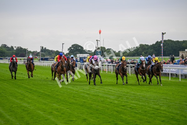 120724-Race 2-Flora Of Bermuda-5794 - Race 2 2.40pm William Hill Summer Stakes