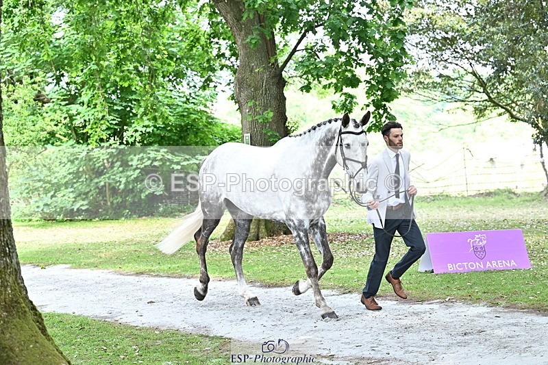 250521A-152519-00497 - B-311-Barnie.Brotherton-WHIXLEY.QUALITAS