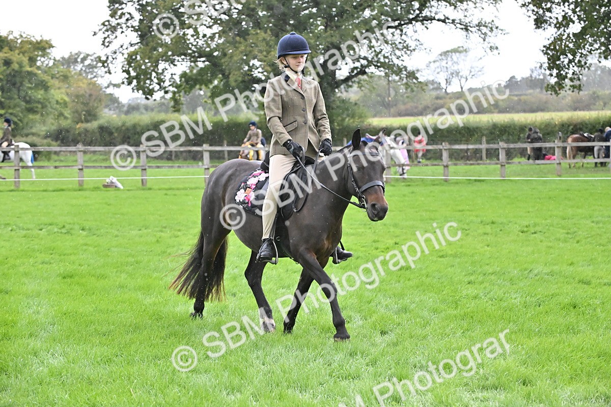 SBM_42932 - S12 - Family Horse & Pony