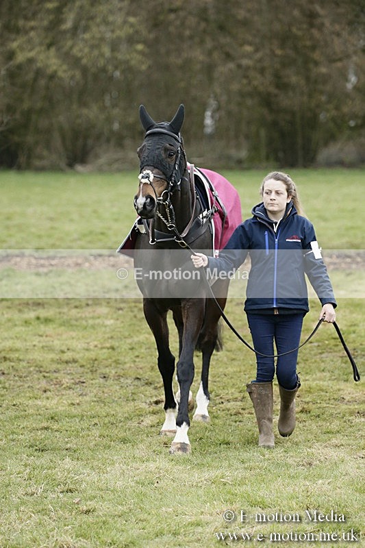 PtP 110318 90 - Hampshire Hunt Point-to-Point Hackwood Park 11/03/18