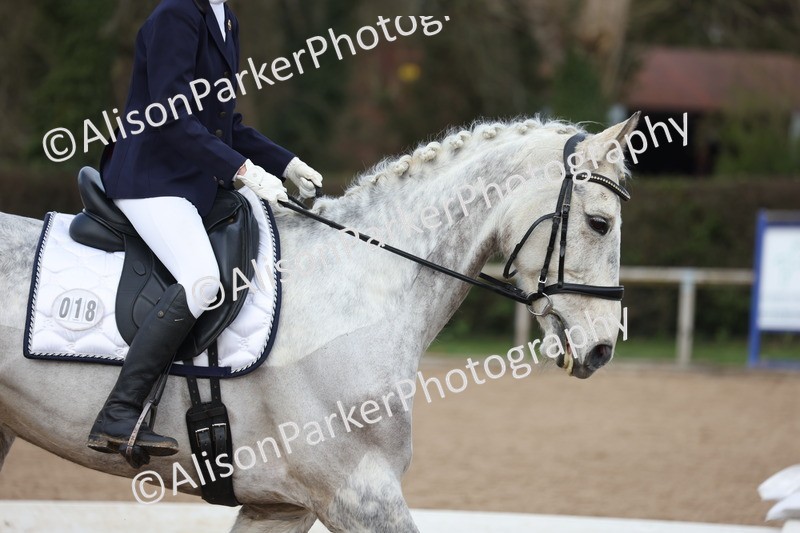 20260301-0134 - Class 2 - Prelim 5