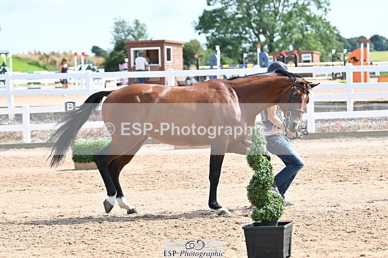 240717A-153015-02851 - Trot Up 3pm to 4pm