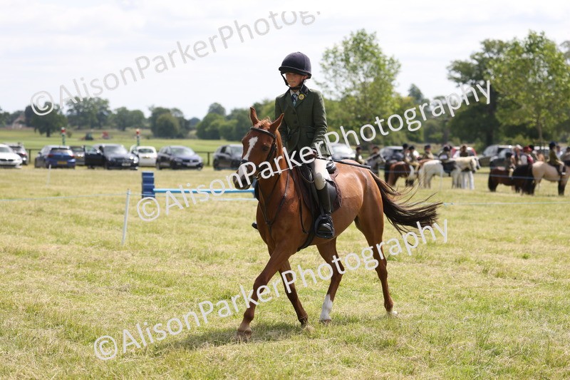 20260614-1869 - Class 21 - Novice Working Hunter Pony