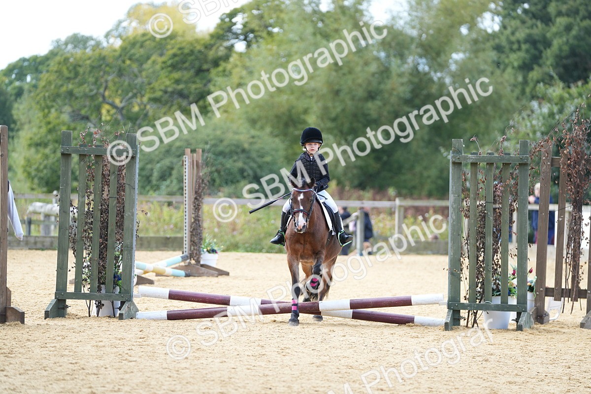 SBM_64439 - J2 - Mini Tour Junior Pony 30cm Championship