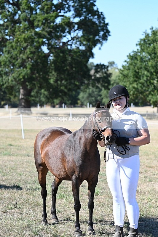 WJ7_2143 - Class 44 Child's Best Friend