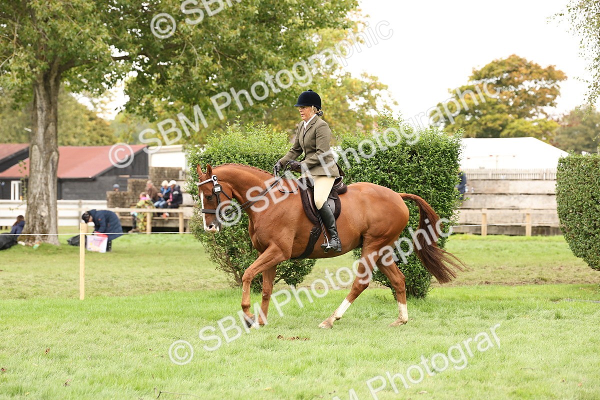 SBM_64235 - S65 - Riding Horse & Hack & Thoroughbred Ridden