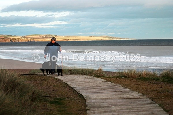 Archie  & Sprout 1 - Walking the Dog