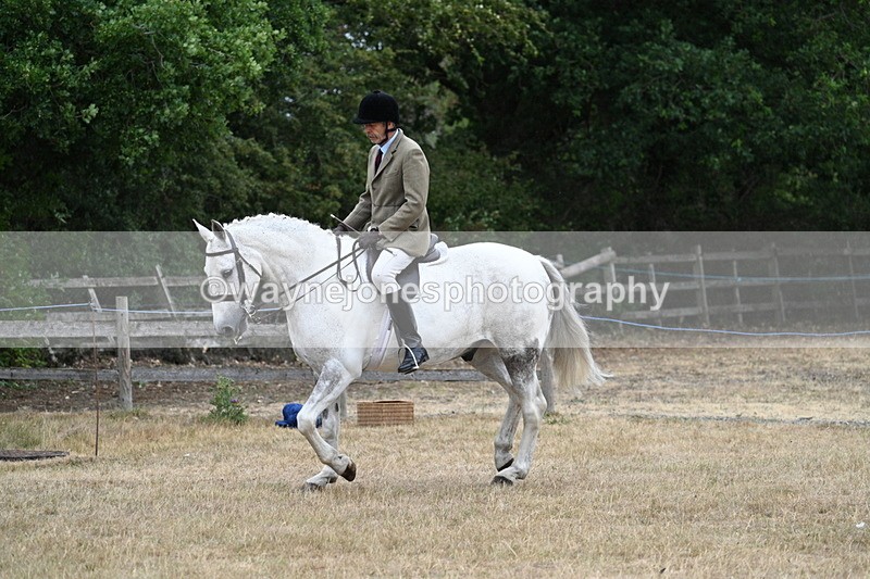 WJ7_0900 - Class 7 Riding Club Show Horse