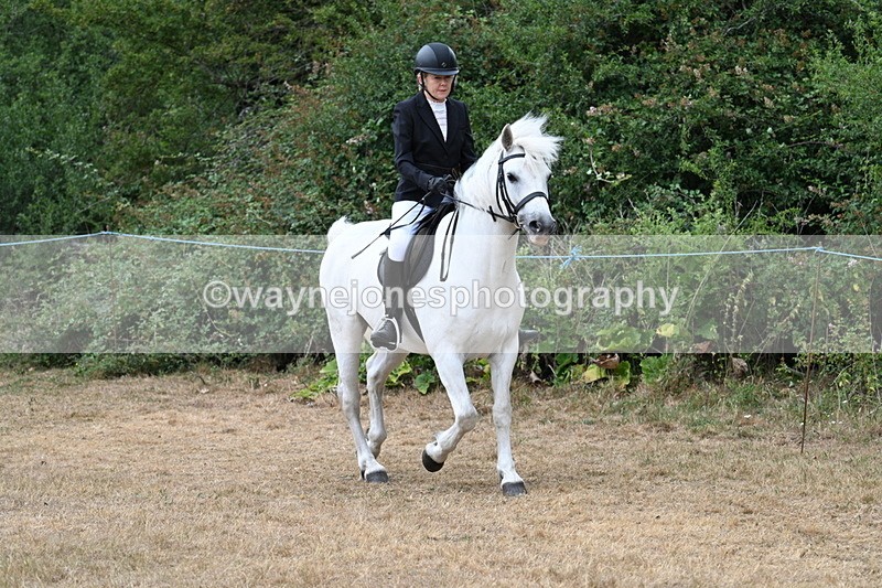 WJ7_0393 - Class 6 Ridden Mountain and Moorland