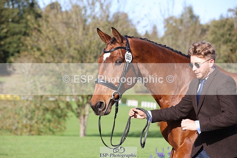 241027-101809-15803 - 555-Kane.Phillips-GURRAUN.CATCH.UP