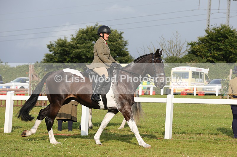 1X9A2844 - Class 25: Ridden Plaited Coloured Horse
