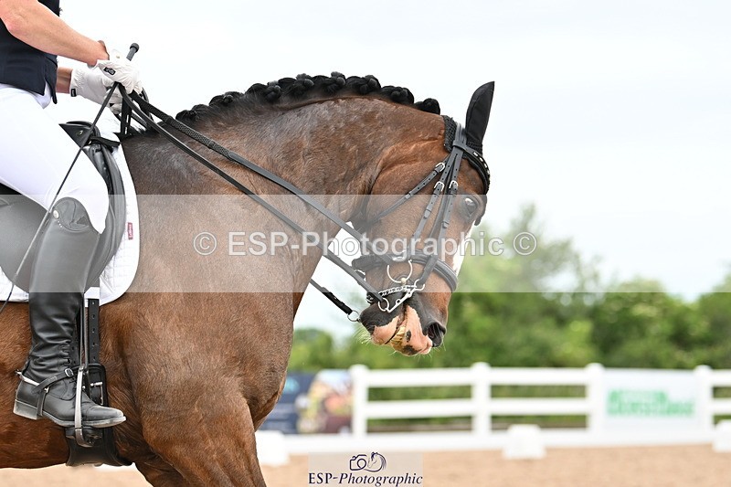 240623A-145329-19450 - Cls 51 BD Elementary 53