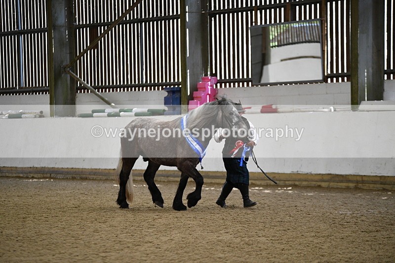 WJ5_5867 - Morning in hand Championship
