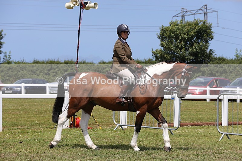 1X9A4283 - Class 34: Veteran Ridden