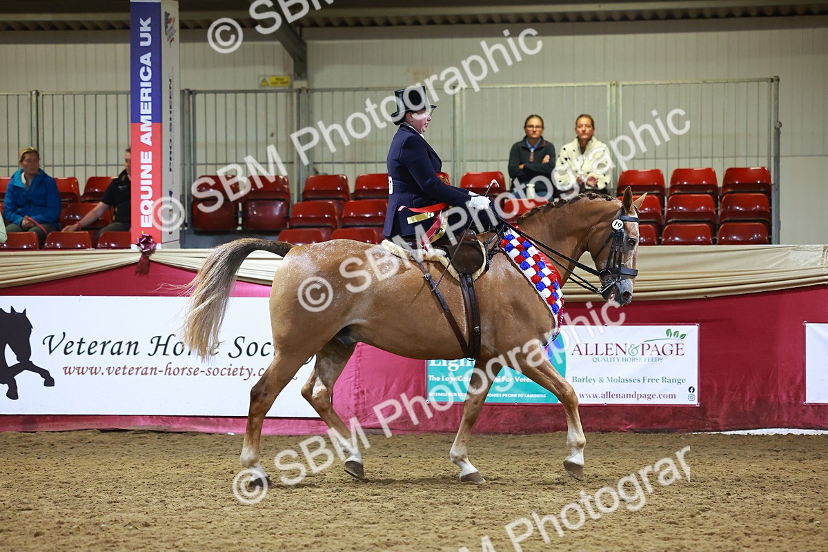 SBM_15760 - Class T - Working Veteran Champ