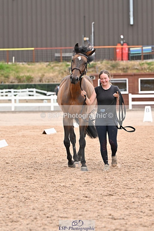250716-155109-02233 - Trot Up 3.30 to 4.30