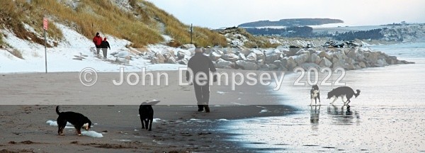 Paths Crossing - Walking the Dog