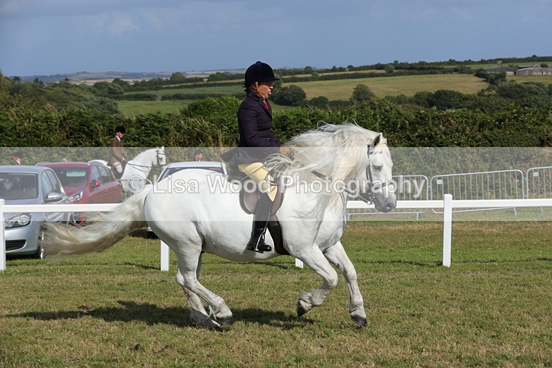 1X9A5985 - Class 42: NPS Dales, Fell, Highland
