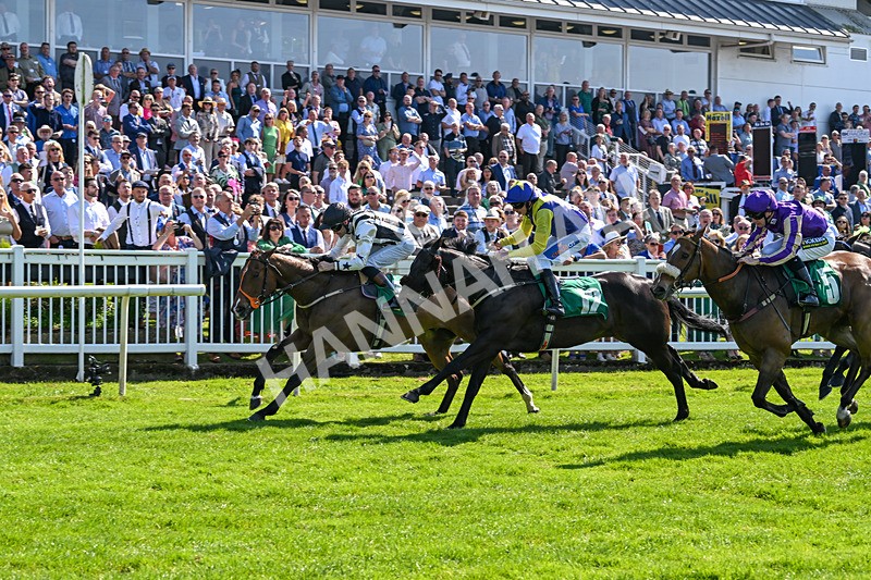 180524-Race 3-Burning Cash-9402 - Race 3