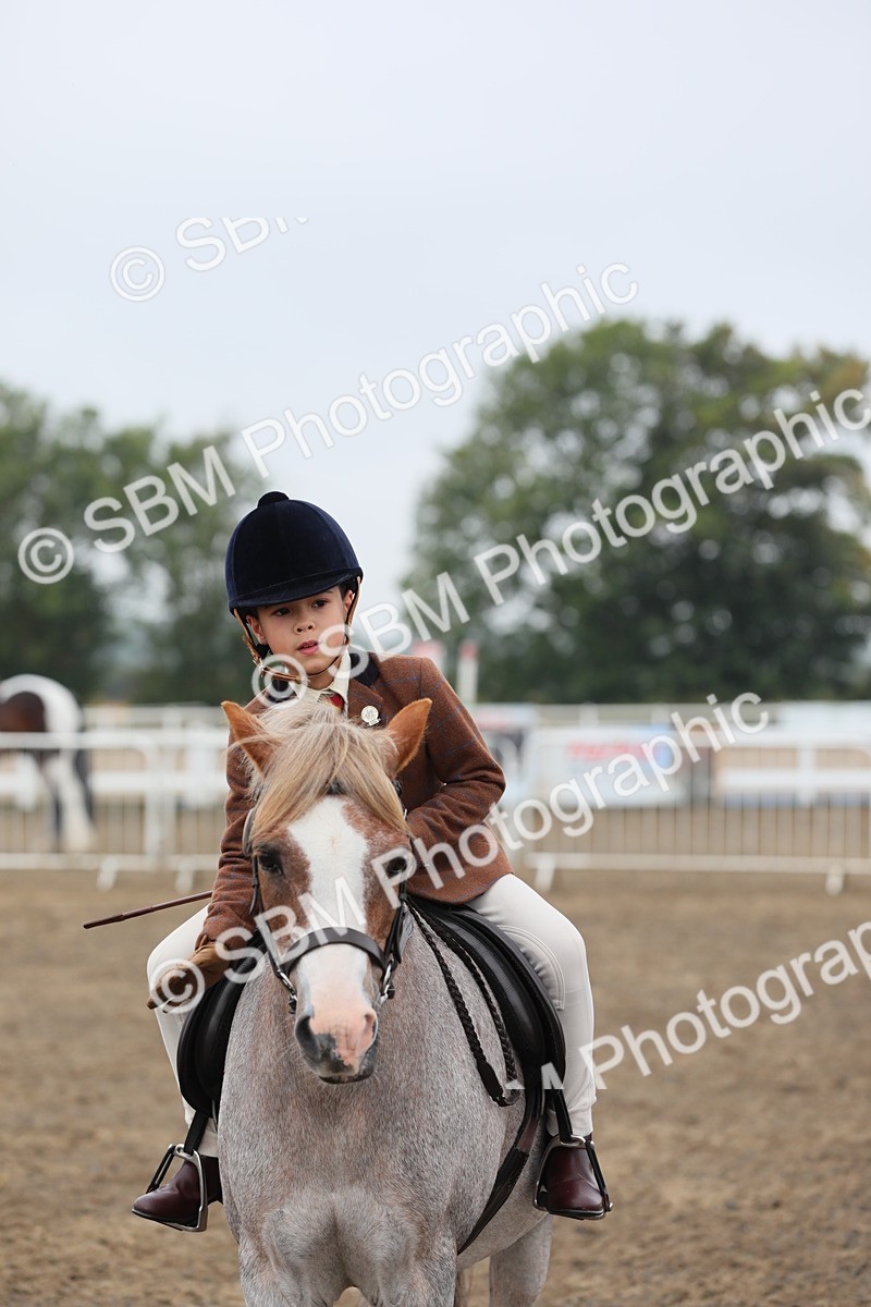 SBM_21827 - Class 806 - Young ridder 10 Yr & Under