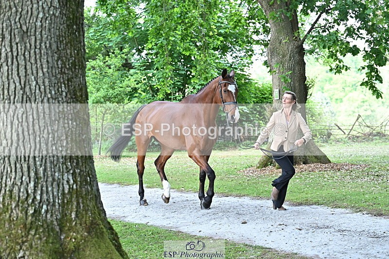 250521A-165542-01404 - C-272-Louisa.Lockwood-KILCANNON.OREO