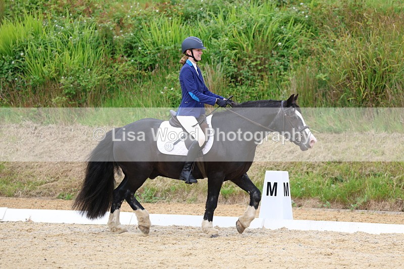 3E7A1659 - Class 2: Intro 2 2024 Section B