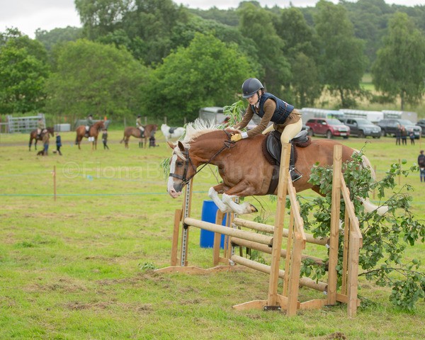 Dunblane show-540 - Dunblane and Doune Show Ring 1