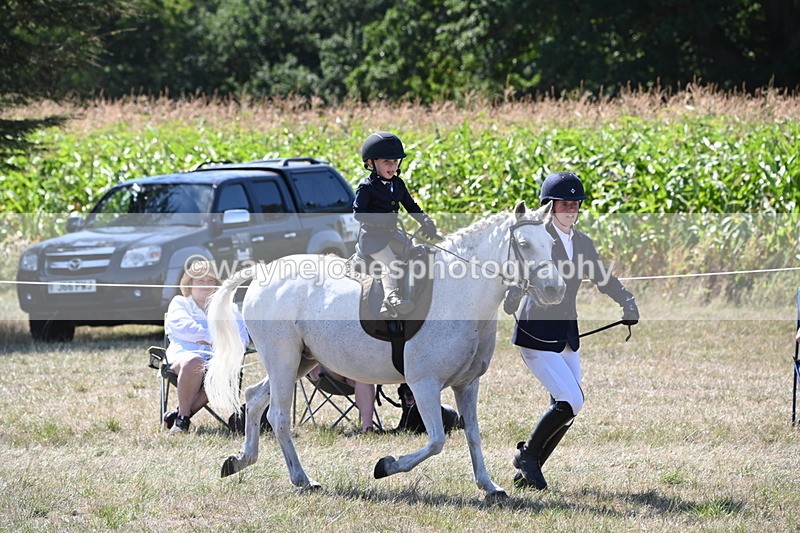 WJ6_7992 - Class 36 Lead Rein