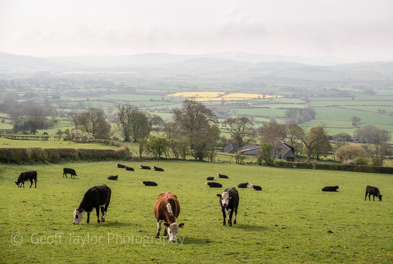 East from Linley Hill - Stiperstones