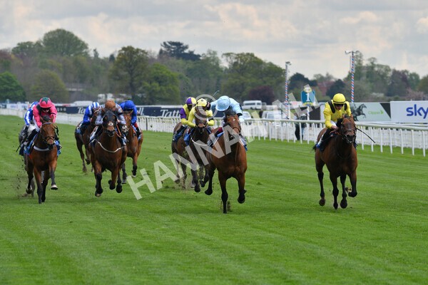 yr12052021r3-11 - Race 3 2.40pm Duke of York Clipper Logistics Stakes