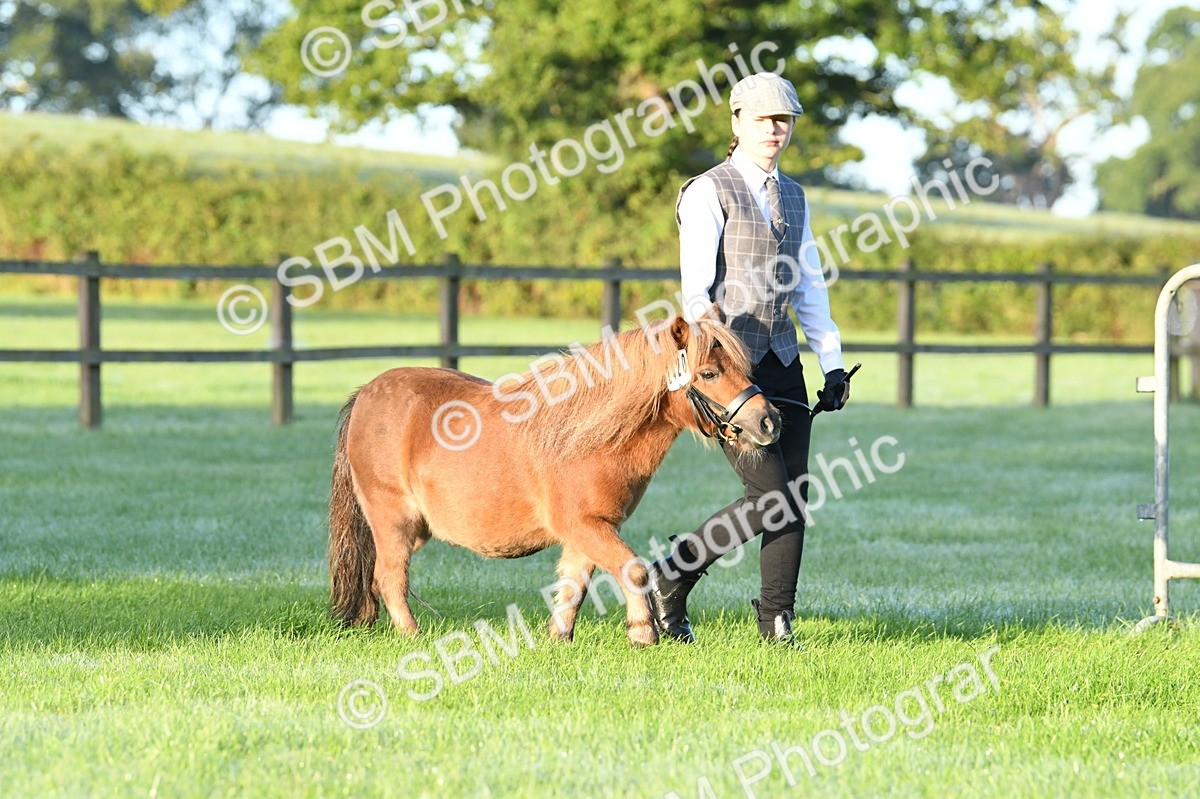 SBM_32473 - S15 - Condition & Turnout In Hand