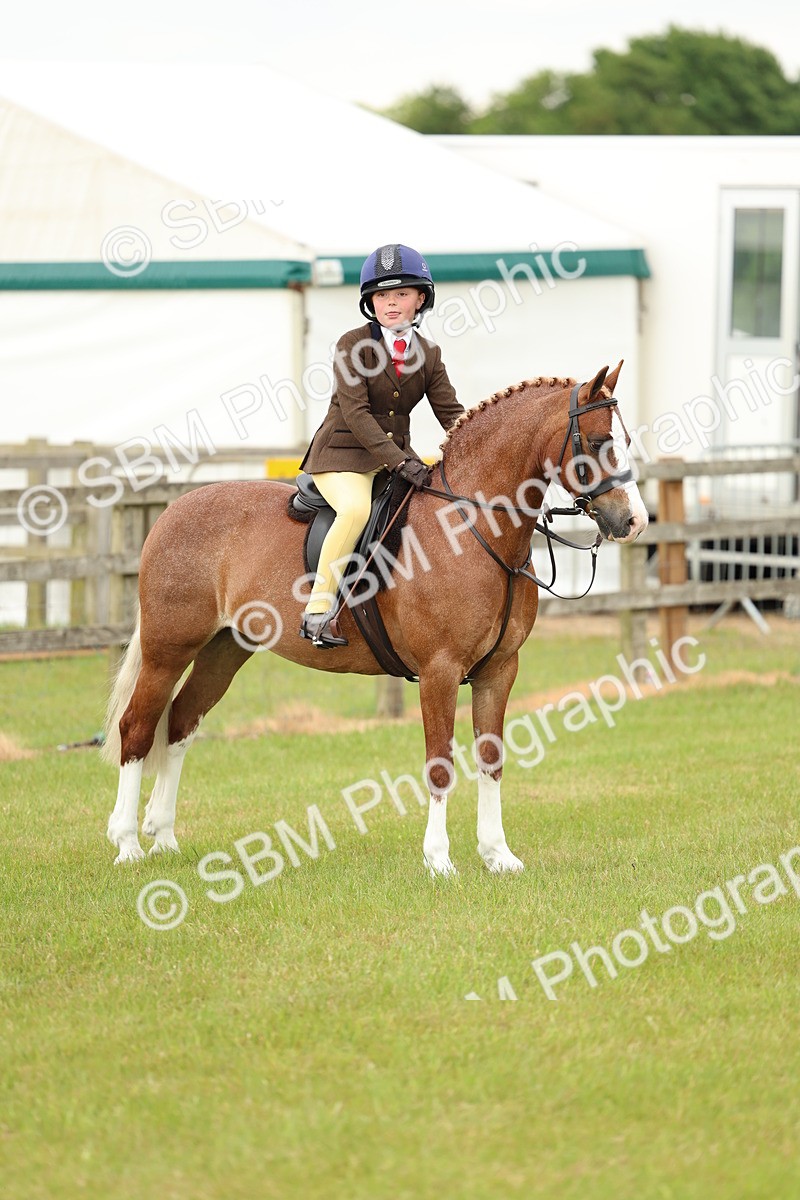 SBM_10375 - Class 44-45 - LIHS BSPS Open Nursery and Cradle Stakes