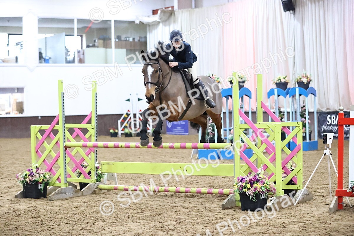 SBM_002077 - Class 8 - Senior British Novice - 90cm