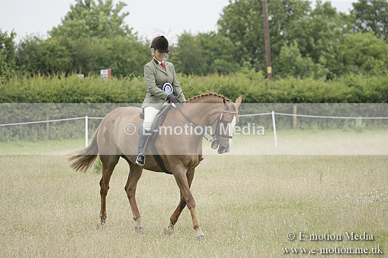 B230619-0971 - Bourne Valley Riding Club Summer Show 23/06/19