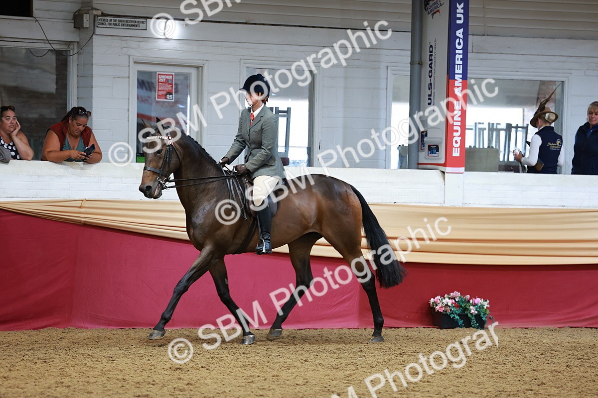 SBM_14957 - Class 108 - Ridden Retired Racehorse