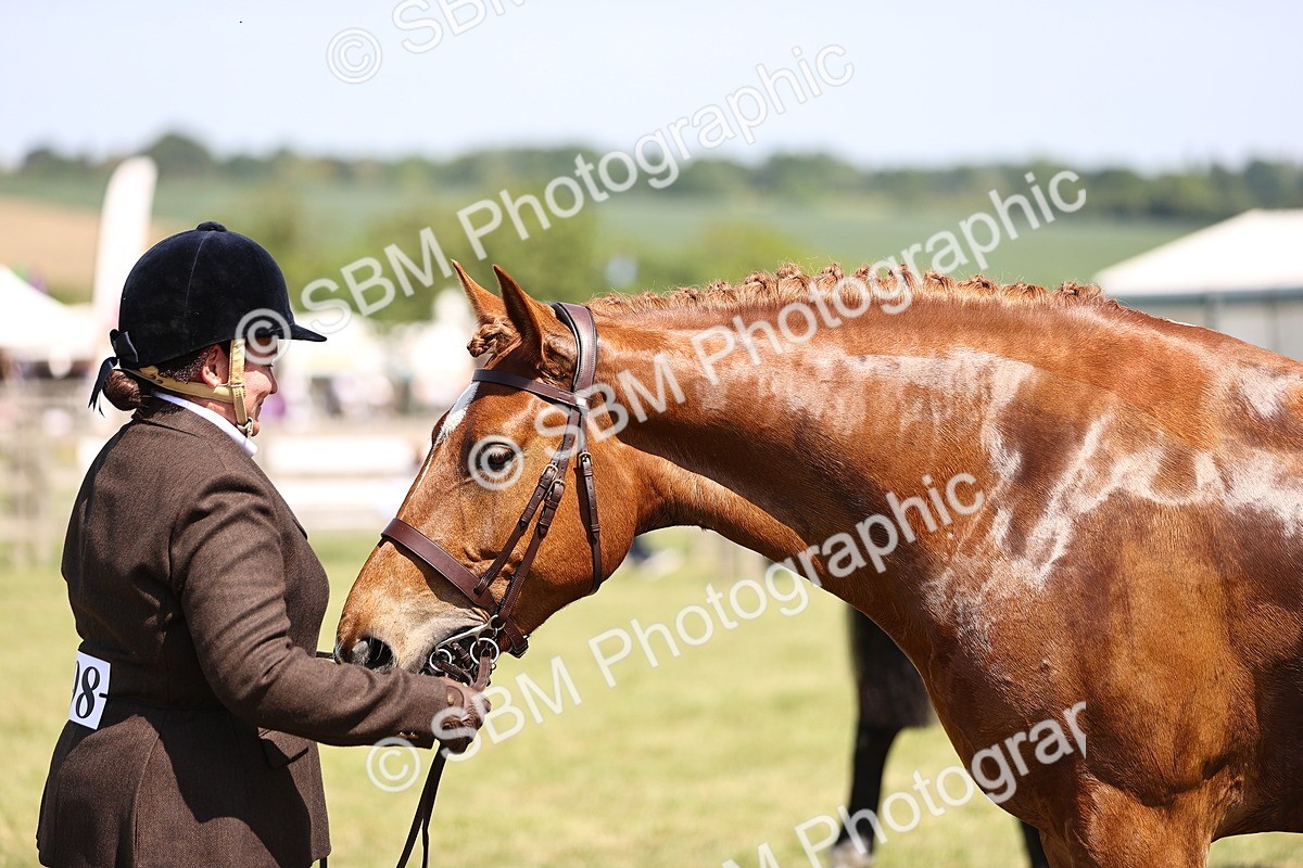 SBM_17773 - Class 81-83 - TSR Ridden Amateur of the Year - Horses